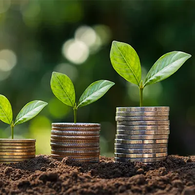 Stacks of coins and some plants.
